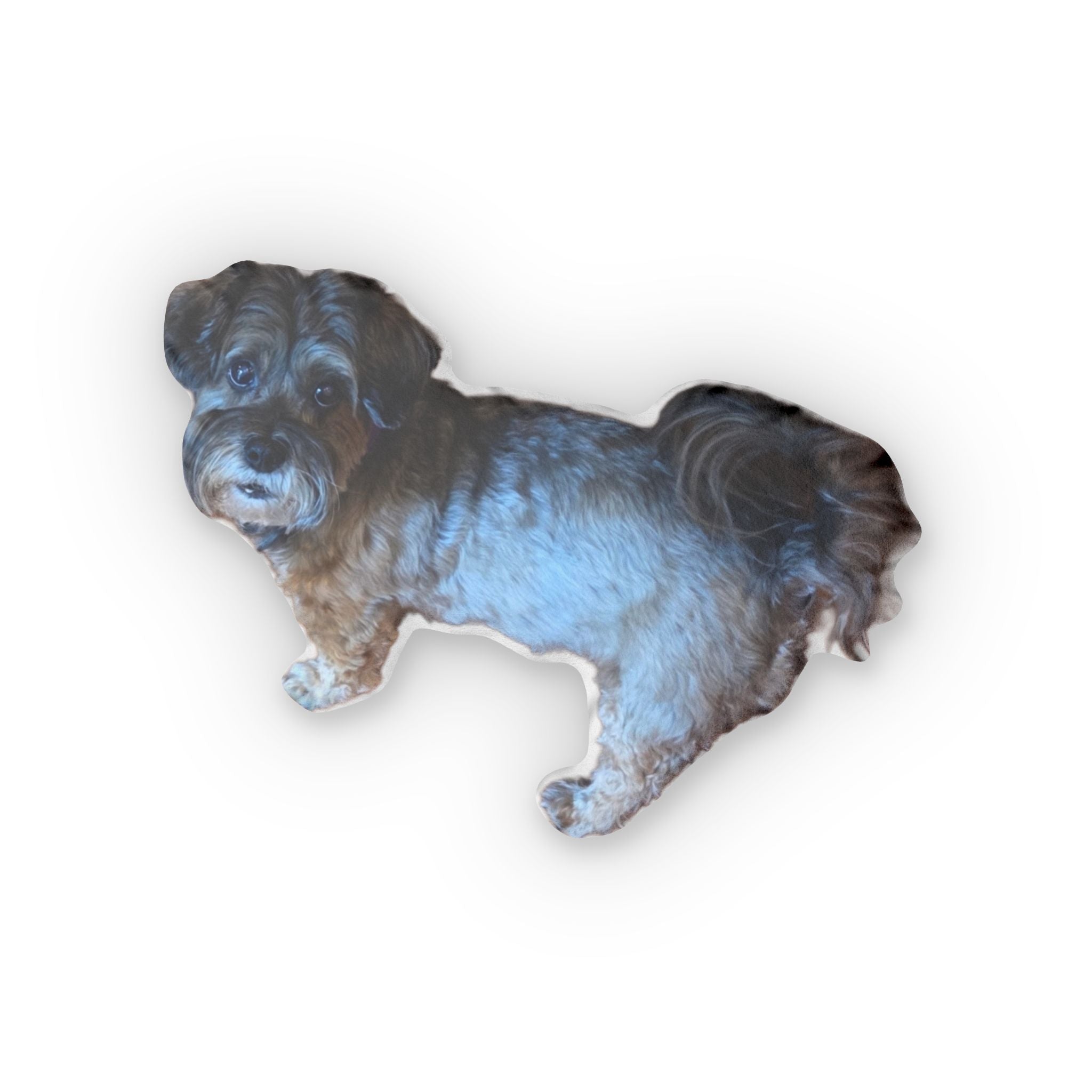 Custom Pet-Shaped Pillow — Personalized Dog Photo Plush Pillow